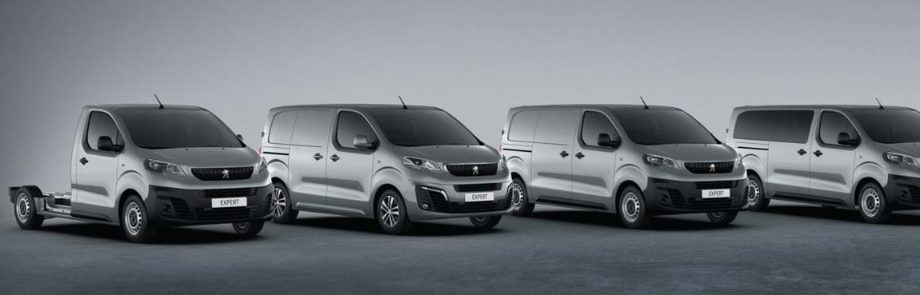 utilitaire peugeot cabine